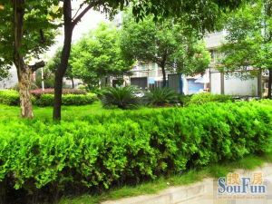 树木岭商圈双地铁口户型周正自住精装修满五唯一