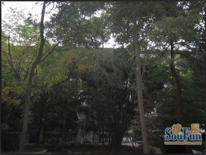 毛纺厂家属区3室2厅西