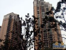 新出四房,带露台,有产权车位近地铁电梯房采光好通风好,新上房源