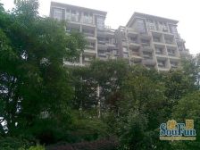 春天大道 4室2厅 南