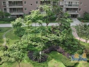 驿鑫乡卿城2室1厅西南