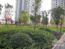 精装修+户型方正+近轻轨+看房方便