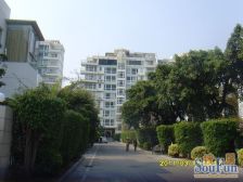 联排别墅 院子花园60平 四层可海