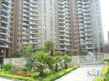 楼层好,采光充足,诚意出售,户型方正