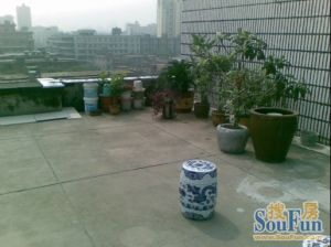 文教路4号电信宿舍 南北通透,采光好 装修好,环镜优美 近地铁 视野好,诚心出售