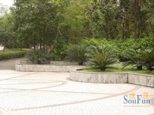 天府名居2室2厅南