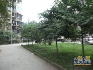 四川省农科院宿舍(静居寺路) 3室1厅 南