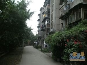 四川省农科院宿舍(静居寺路) 3室1厅 南