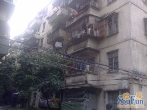 同济路小区楼梯中层南北对流带租约出售税费各付