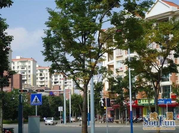 小区相关图