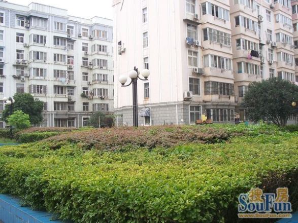 江宏花园B区实景图