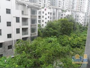 盛世名居2室1厅南