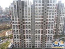 房型正气,电梯房,精装修,大开间,近商圈