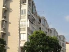 金星绿苑5室南朝向400.00万元/套出售