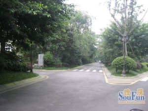 蓝光SOFA社区2室1厅东