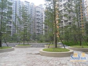 师大现代花园3室1厅西北