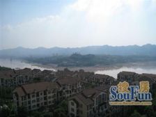 大竹林 龙湖江与城熙溪地三房164.8万