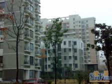 近地铁,电梯房 现场实勘,产权清晰 热销好房