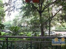 和坤和家园 1室1厅 南