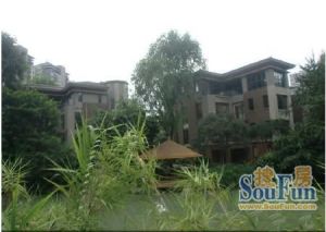 向阳花园A区 3室1厅 东南