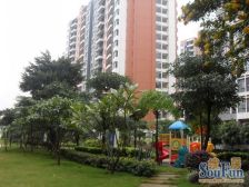 鼎峰品筑大2房,业主自住保养好