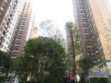 华润橡树湾A区1室1厅东南