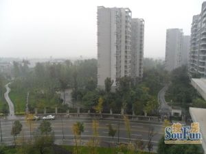 天府欣苑西区4室1厅南
