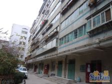 广武门武都路华亭街南北朝向框架房交通便利产权