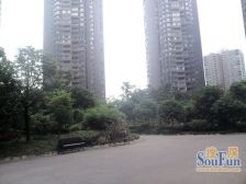 东部新城 星韵满庭三房52.8万