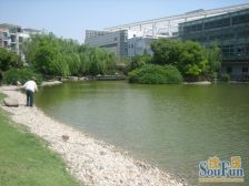 奥林匹克花园 1室2厅 南 北