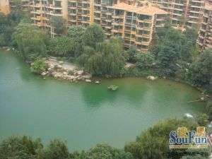 东骏湖景湾3室1厅西南