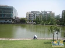 电梯房高楼层大两房,得房率85%,可三房