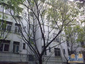 同济路此房满五,已补地价,住宅老两房,户型方正