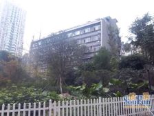 西巢小筑1室0厅东南