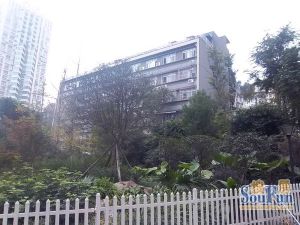 西巢小筑 1室0厅 东南