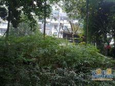 中大君悦金沙四期3室2厅西南