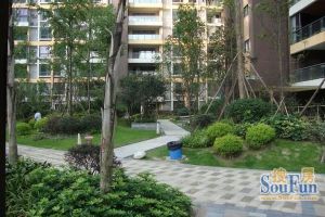 金上城3室2厅西南
