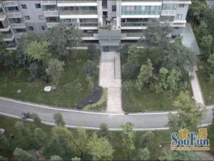 天府欣苑西区 4室2厅 南