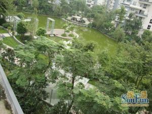劲力蓝色理想2室1厅东南