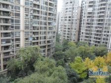 中海龙湾半岛3室2厅北东北