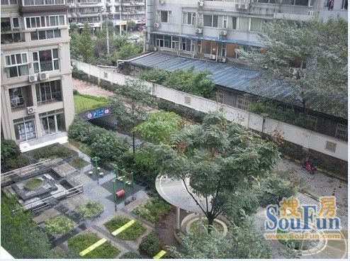 左邻右舍实景图