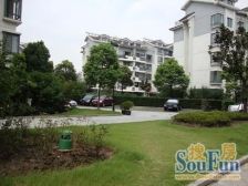 南北全明户型,精装修前后无遮挡,楼层采光好