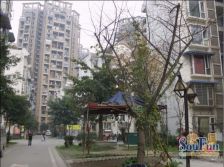 金泉阳光雅新苑3室1厅西南东北