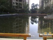 南城都汇汇翠园一期3室2厅南
