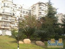 华泾·光华绿苑·1室·1厅