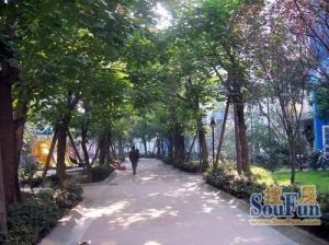 宏景园3室2厅西南