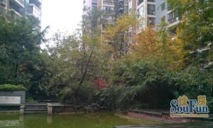 蓝岸丽景2室2厅东