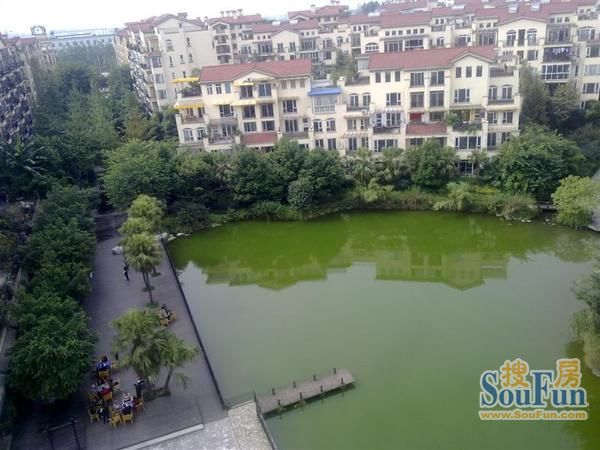 小区相关图