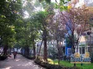 宏景园3室2厅东南