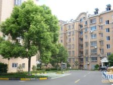 满五.weiyi,税费少,三开间朝南,大三房